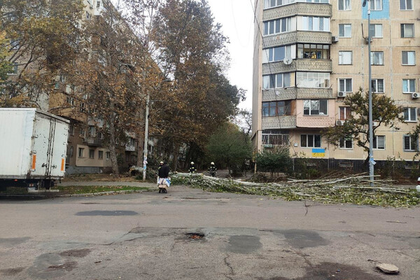 Негода в Одесі повалила дерева: комунальники ліквідують наслідки (фото) фото 15