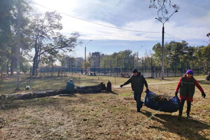 Ветер в Одессе повалил 71 дерево в Одессе фото 5