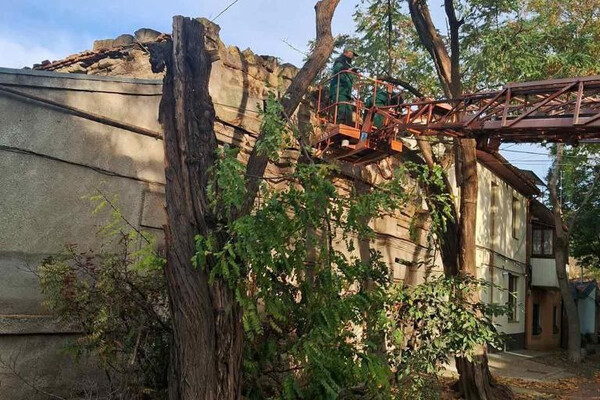 Ветер в Одессе повалил 71 дерево в Одессе фото 7