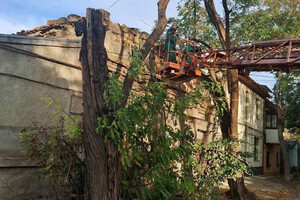Вітер в Одесі повалив 71 дерево в Одесі фото 7