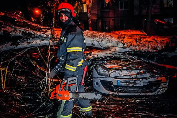 Понад 50 дерев впали: до яких наслідків призвела негода в Одесі фото 1