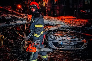 Более 50 упавших деревьев: к каким последствиям привела непогода в Одессе фото 1