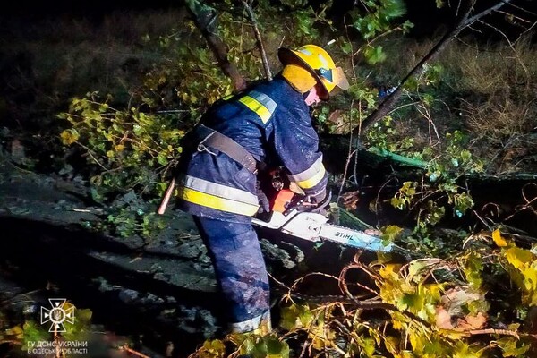 Более 50 упавших деревьев: к каким последствиям привела непогода в Одессе фото 2