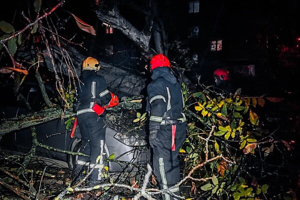 Более 50 упавших деревьев: к каким последствиям привела непогода в Одессе фото 3