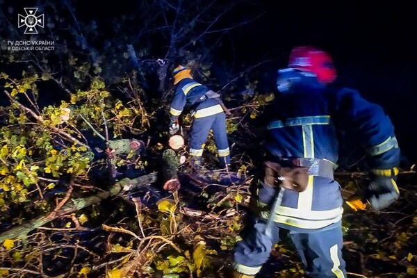 Более 50 упавших деревьев: к каким последствиям привела непогода в Одессе фото 4
