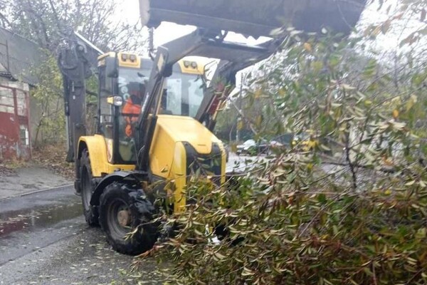 Более 50 упавших деревьев: к каким последствиям привела непогода в Одессе фото 8
