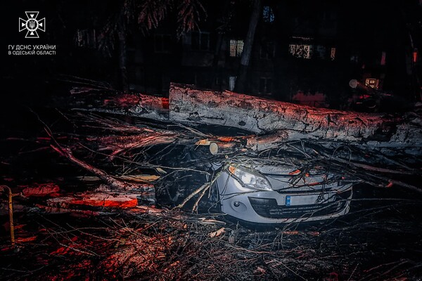 Более 50 упавших деревьев: к каким последствиям привела непогода в Одессе фото 18