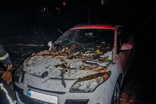 Более 50 упавших деревьев: к каким последствиям привела непогода в Одессе фото 19