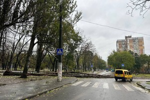 Понад 50 дерев впали: до яких наслідків призвела негода в Одесі фото 20