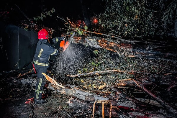 Более 50 упавших деревьев: к каким последствиям привела непогода в Одессе фото 23
