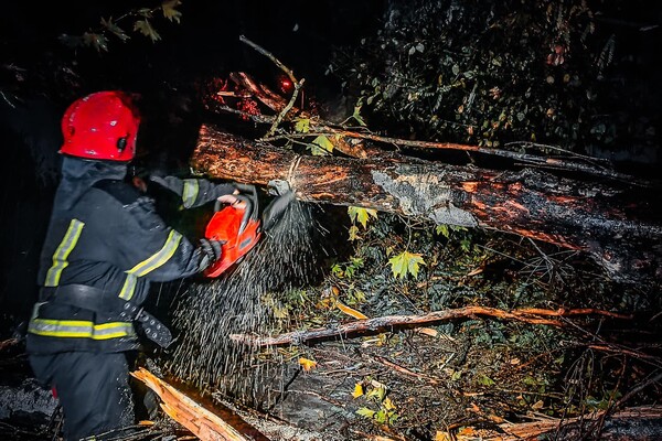 Более 50 упавших деревьев: к каким последствиям привела непогода в Одессе фото 24
