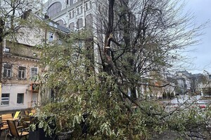 Понад 50 дерев впали: до яких наслідків призвела негода в Одесі фото 25