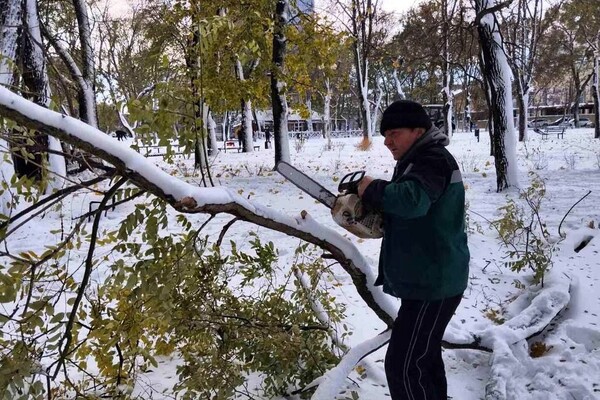 Негода в Одеській області: яка ситуація на ранок 28 листопада фото