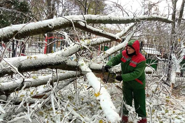 Негода в Одеській області: яка ситуація на ранок 28 листопада фото 2