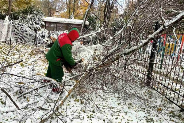 Негода в Одеській області: яка ситуація на ранок 28 листопада фото 3