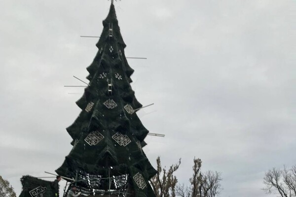 В центре Одессы установили новогоднюю елку (фото, видео) фото