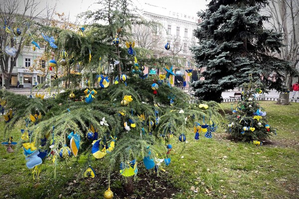 В одесском Городском саду появился елка единения  фото 6