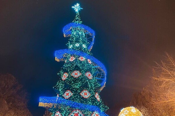 В Одессе зажгли главную новогоднюю елку города фото