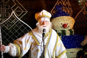 В Одессе зажгли главную новогоднюю елку города фото 5
