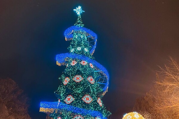 В Одессе зажгли главную новогоднюю елку города фото 7