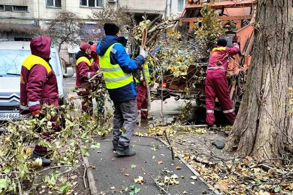 Непогода в Одессе 26 декабря: упавшие деревья и ветки до сих пор остаются на улицах фото 4
