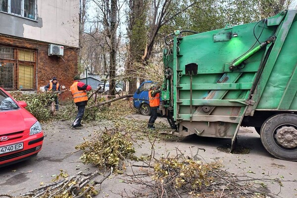 Непогода в Одессе 26 декабря: упавшие деревья и ветки до сих пор остаются на улицах фото 5