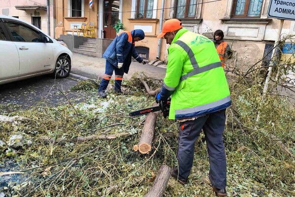 Негода в Одесі 26 грудня: дерева і гілки, що впали, досі залишаються на вулицях фото 6