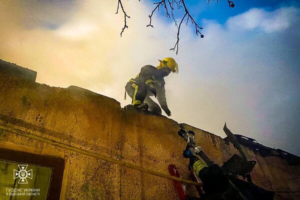 В Одесской области горели жилой дом и аптека: пожарные спасли двух младенцев фото 8