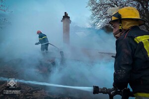 В Одесской области горели жилой дом и аптека: пожарные спасли двух младенцев фото 9