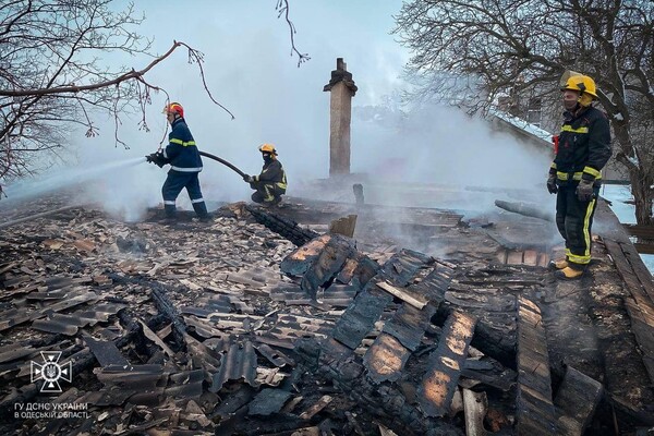В Одесской области горели жилой дом и аптека: пожарные спасли двух младенцев фото 11