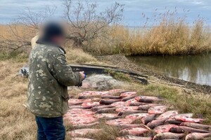 Выловил рыбы на 300 тысяч гривен: в Одесской области задержали браконьера фото