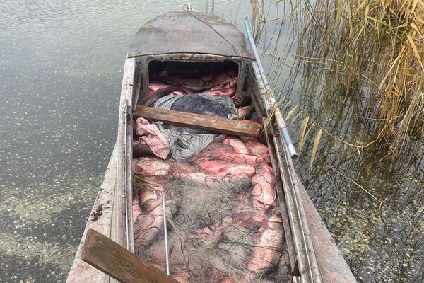 Выловил рыбы на 300 тысяч гривен: в Одесской области задержали браконьера фото 1