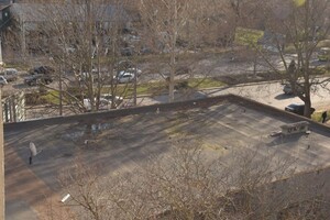На Одесі лелека прилітає прямо на дах будинку фото 2