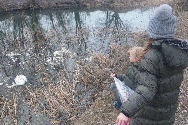 В Одесской области фиксируют загадочные случаи гибели лебедей фото