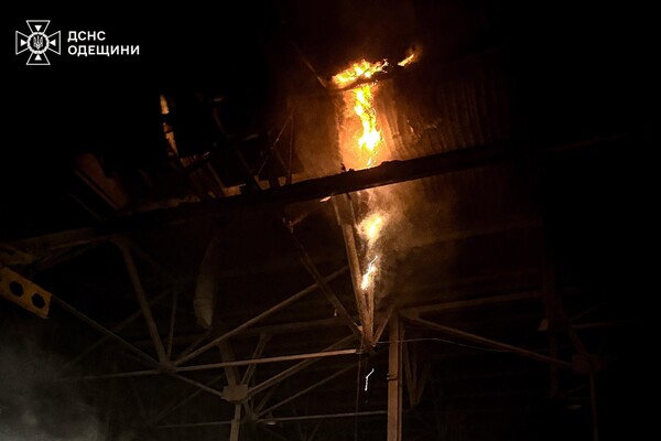 РФ атакувала Одеську область &quot;Шахедами&quot;: є влучання у промисловий об'єкт фото 10