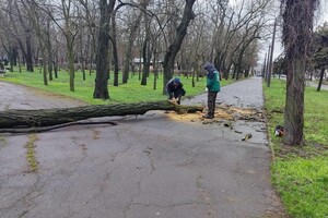 В Одессе объявили штормовое предупреждение, стали падать деревья: какая обстановка (обновлено) фото