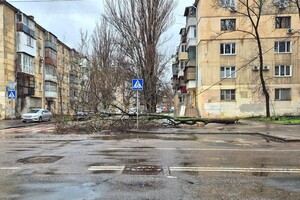 В Одессе объявили штормовое предупреждение, стали падать деревья: какая обстановка (обновлено) фото 2