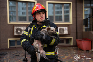 Спасатели рассказали подробности пожара в &quot;Жемчужине&quot; на Каманина в Одессе фото 4