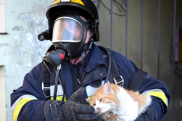 На Канатній в Одесі спалахнула пожежа в будинку: загинув рятувальник фото 7