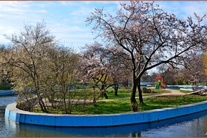 У парку Перемоги в Одесі квітнуть дерева (фото) фото 7