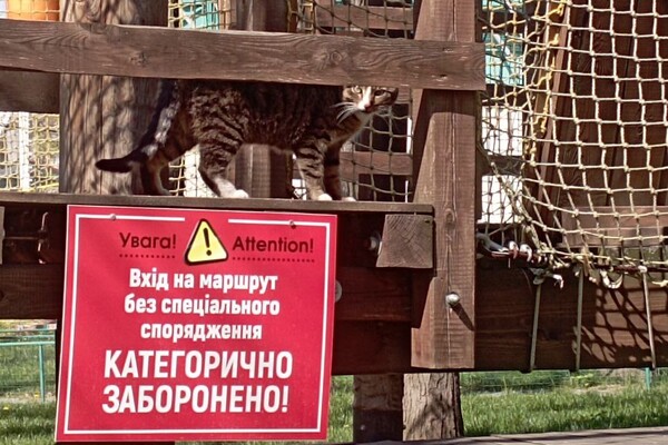 Сходи с малышами: где в Одессе искать веревочные парки фото 49