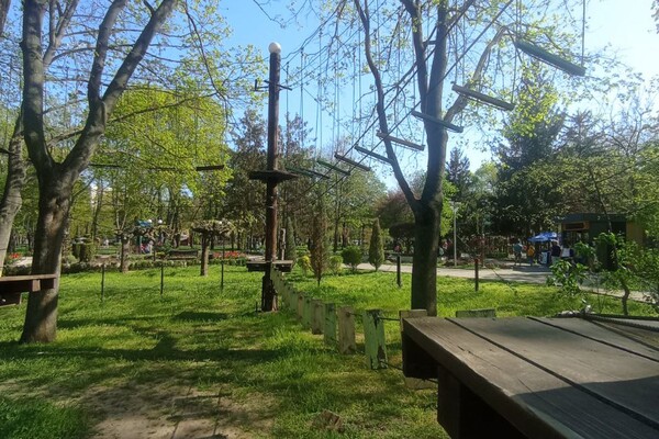 Сходи з малюками: де в Одесі шукати мотузяні парки фото 6