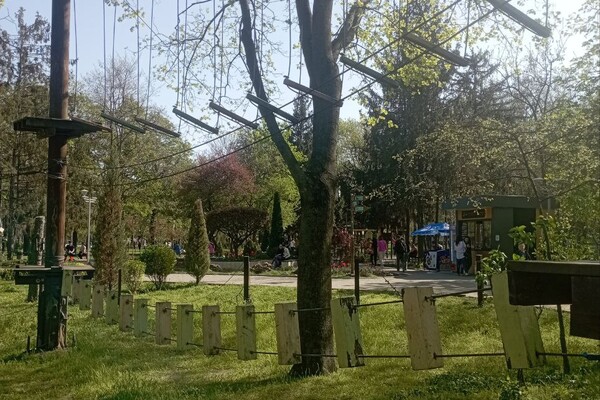 Сходи с малышами: где в Одессе искать веревочные парки фото 16
