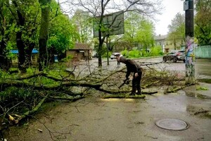 Упали дерева та гілки, перекривали рух транспорту на одній вулиці: наслідки негоди в Одесі (оновлено) фото 1