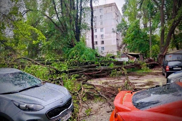 Упали дерева та гілки, перекривали рух транспорту на одній вулиці: наслідки негоди в Одесі (оновлено) фото 2