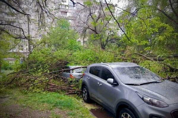 Упали дерева та гілки, перекривали рух транспорту на одній вулиці: наслідки негоди в Одесі (оновлено) фото 5