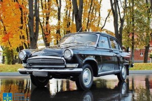 Одесскому экс-депутату Руслану Тарпану объявили о подозрении: он передал в РФ коллекцию раритетных авто фото 6