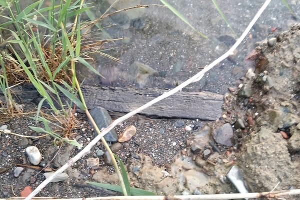 В Одесской области обнаружили фрагменты древнего судна фото 3