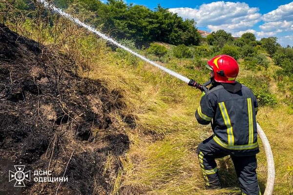 В Одесі біля Траси здоров'я спалахнула пожежа: подробиці фото 5