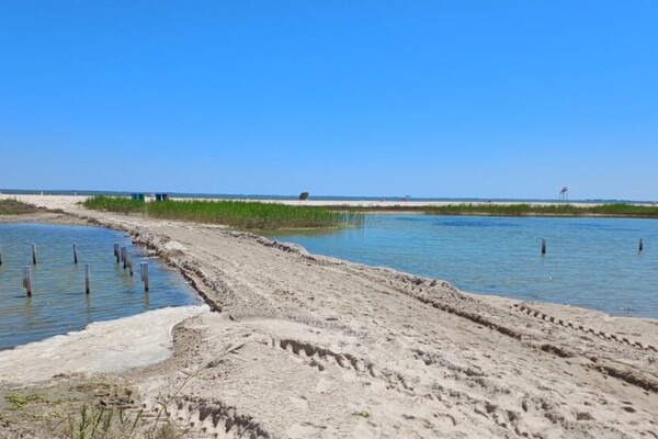 На курорті на Одещині також відкрили пляж фото 3